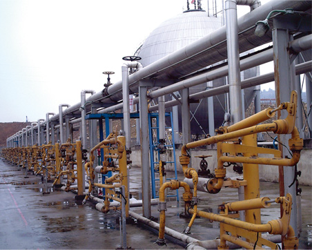 �Ԅӿ����Q��